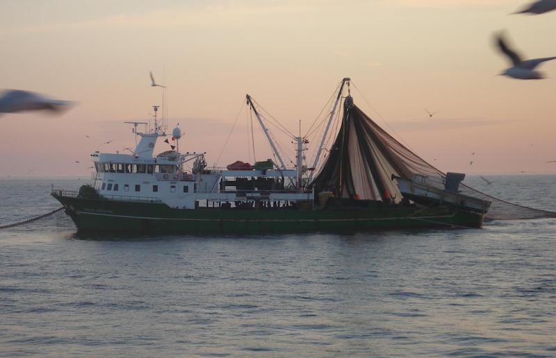 cinar ibrahim (Fishing Vessel) - IMO 8992077, MMSI 271072854, Call Sign TC9967 under the flag of Turkey