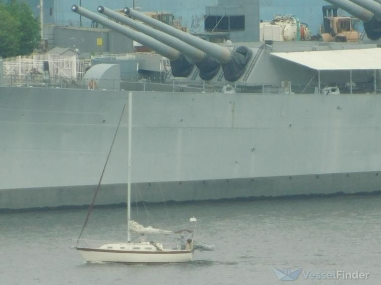 curious (Pleasure craft) - IMO , MMSI 338304659 under the flag of USA