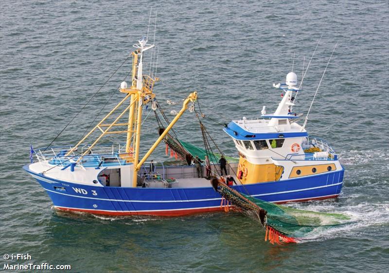 tilly wd3 (Fishing vessel) - IMO , MMSI 250005795, Call Sign EIWE6 under the flag of Ireland