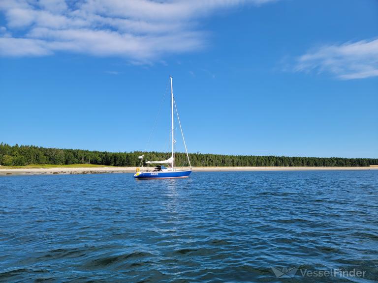 blue rider (Sailing vessel) - IMO , MMSI 338148275 under the flag of USA