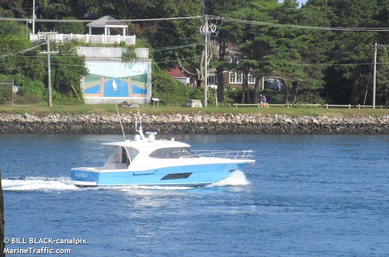 ocean emotion (Pleasure craft) - IMO , MMSI 338375196 under the flag of USA