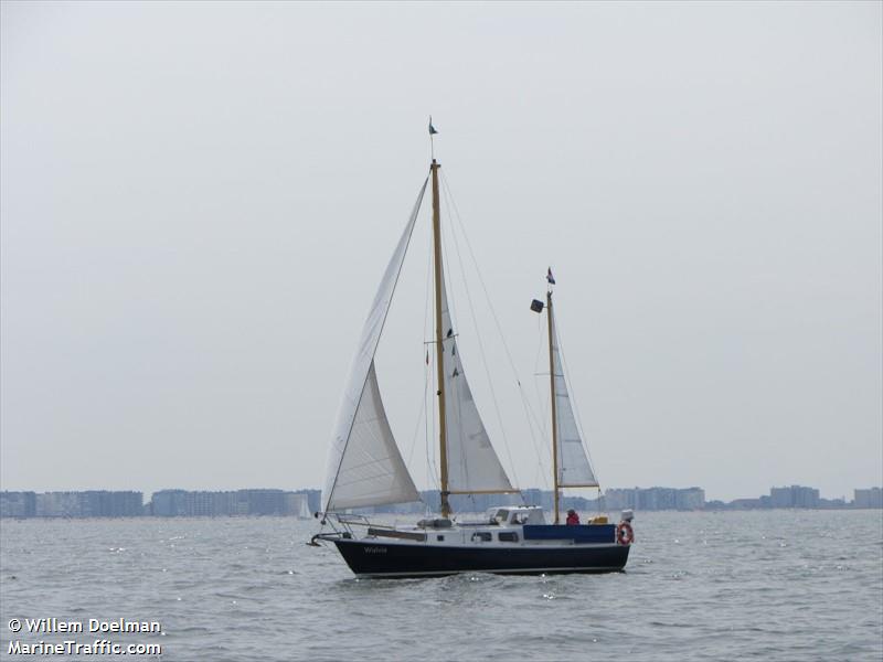 walvis (Sailing vessel) - IMO , MMSI 244050006, Call Sign PE9028 under the flag of Netherlands