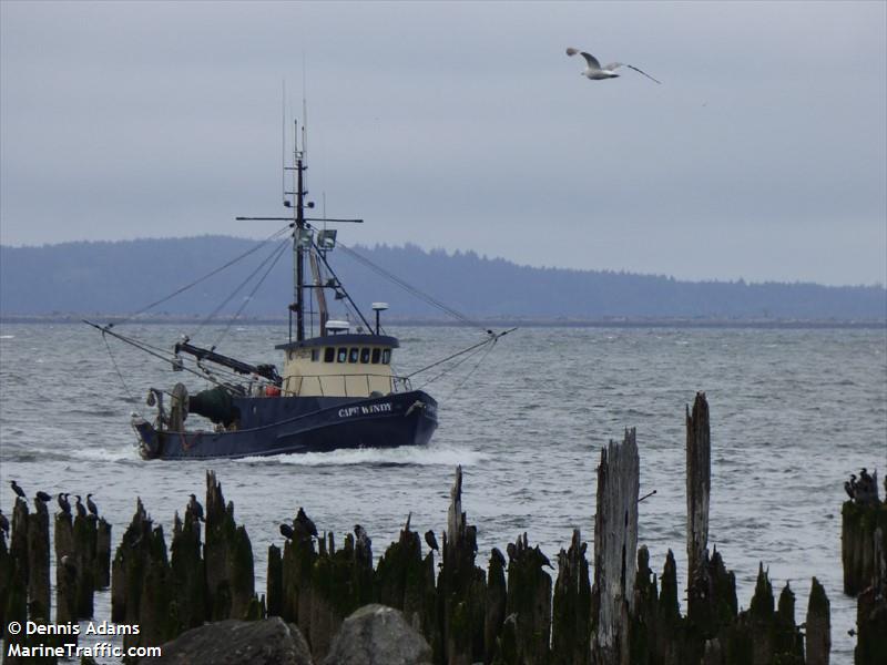 cape windy (Fishing vessel) - IMO , MMSI 367603130, Call Sign WDH2981 under the flag of United States (USA)