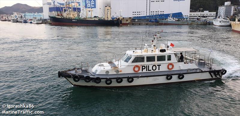 pilot dongdumal (Pilot) - IMO , MMSI 440135830, Call Sign 060090 under the flag of Korea