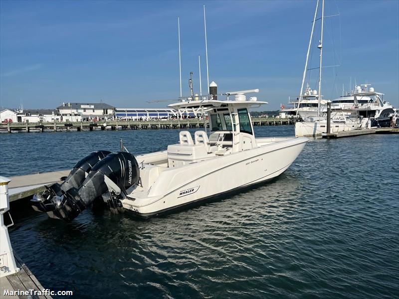 tt tsalta (Pleasure craft) - IMO , MMSI 367540340, Call Sign WDG4809 under the flag of United States (USA)