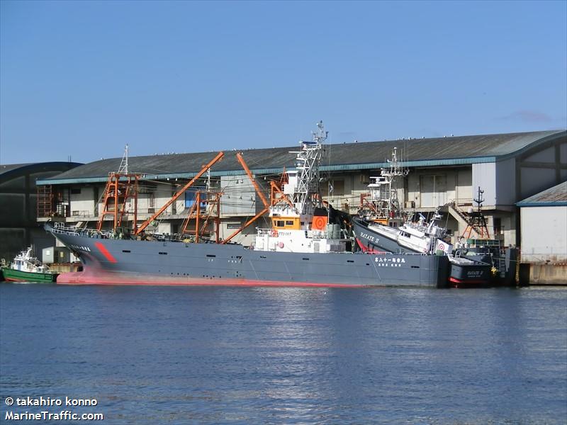 kaikomaru no81 (Fishing vessel) - IMO , MMSI 431008827 under the flag of Japan