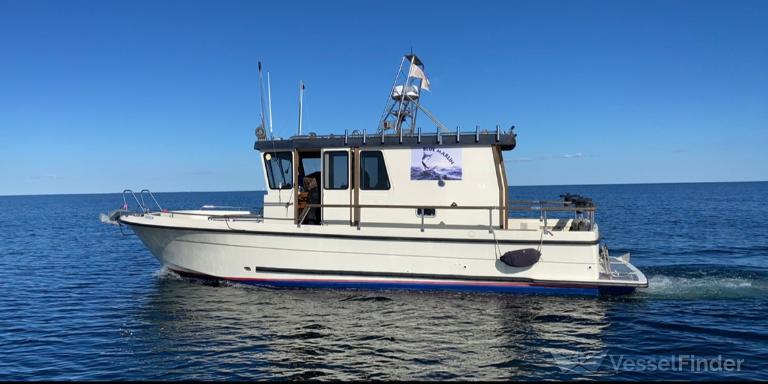 blue marlin (Pleasure craft) - IMO , MMSI 219024045, Call Sign XPH2938 under the flag of Denmark