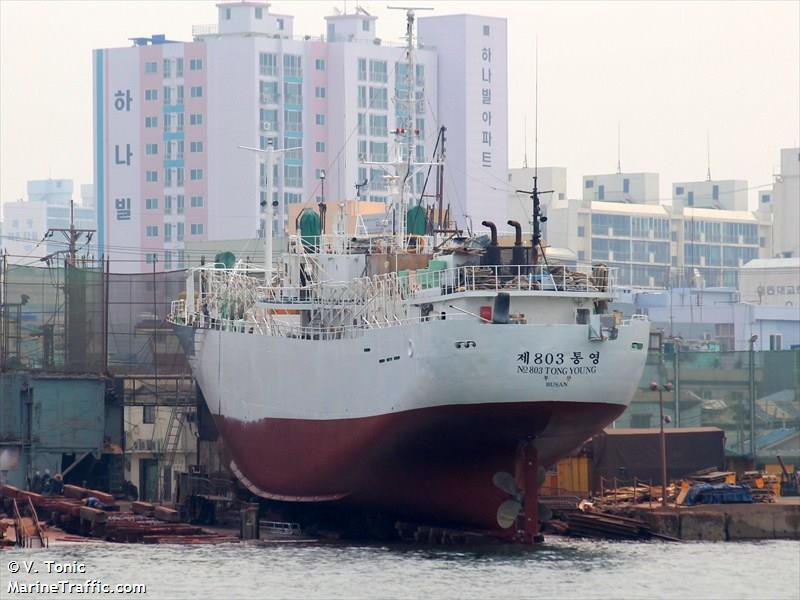 803 tong yong (Fishing Vessel) - IMO 8610485, MMSI 441713000, Call Sign DTBY2 under the flag of Korea