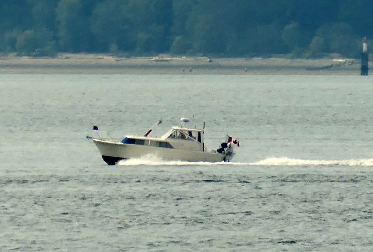 american beauty (Pleasure craft) - IMO , MMSI 316007978 under the flag of Canada