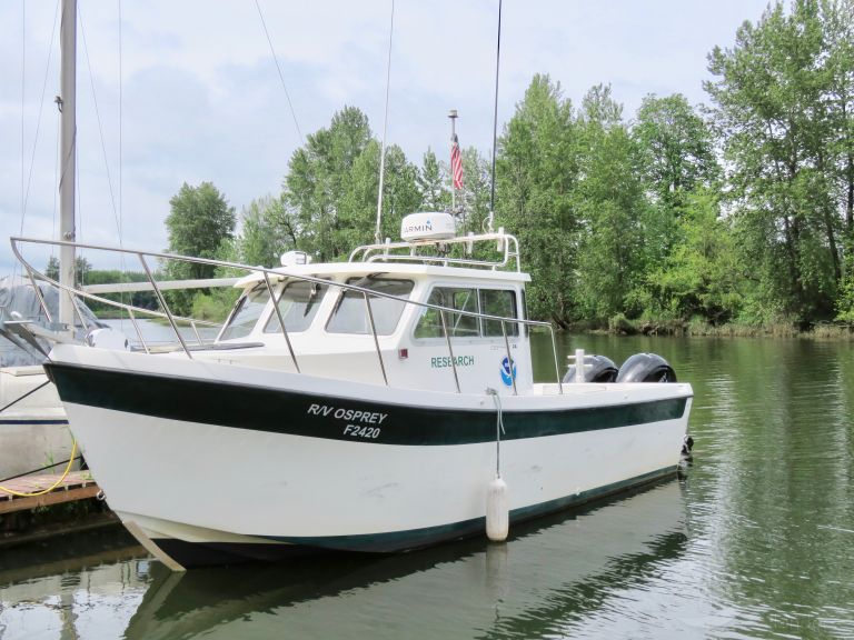 rv osprey (Other type) - IMO , MMSI 368926085 under the flag of United States (USA)