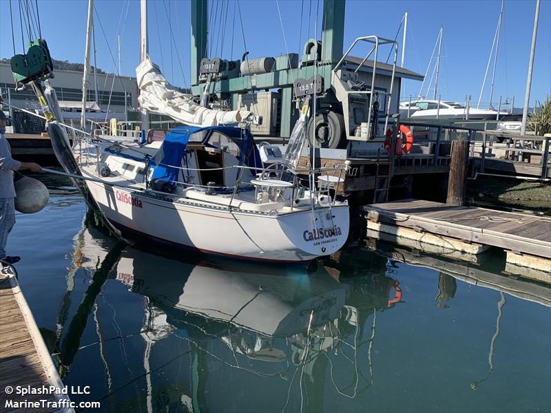 caliscotia (Sailing vessel) - IMO , MMSI 338394797 under the flag of USA