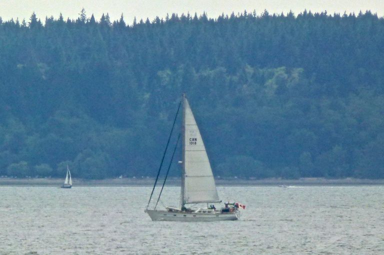 defiant (Sailing vessel) - IMO , MMSI 316028981, Call Sign CFN7003 under the flag of Canada