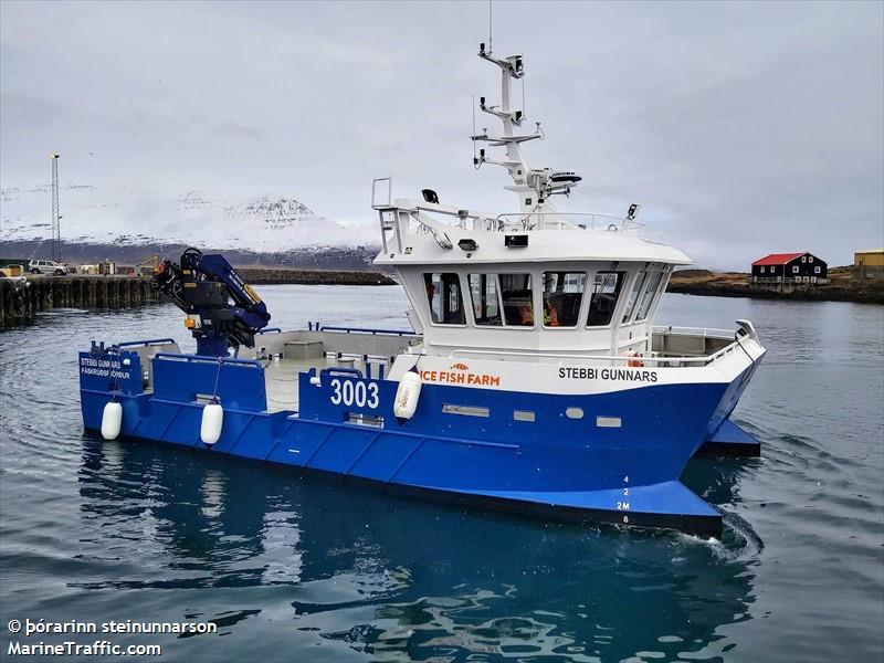 stebbi gunnars (Cargo ship) - IMO , MMSI 251856870, Call Sign 3003 under the flag of Iceland