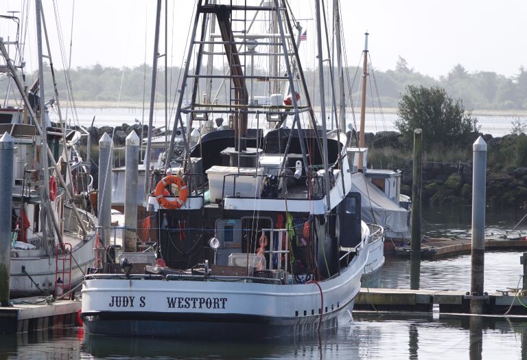 judy s (Fishing vessel) - IMO , MMSI 368414100, Call Sign WYP3141 under the flag of United States (USA)