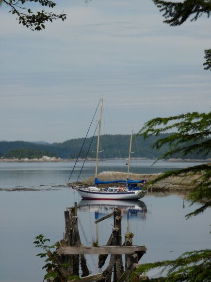 solskin (Sailing vessel) - IMO , MMSI 316010633 under the flag of Canada