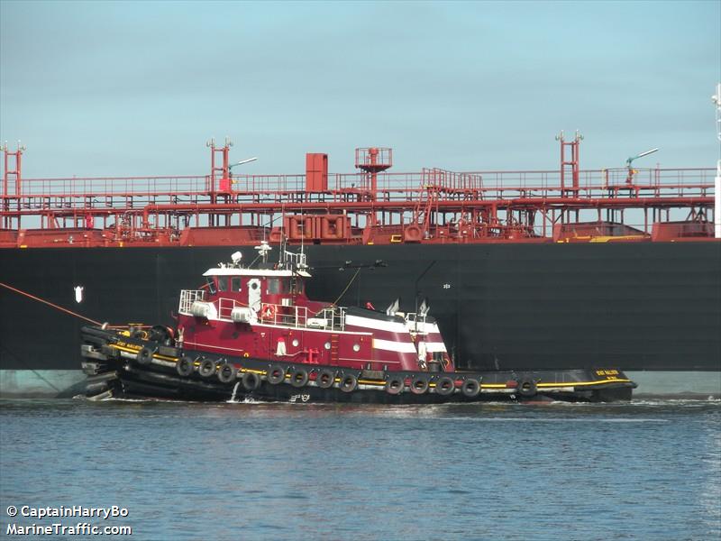 stacy mcallister (Tug) - IMO 8990457, MMSI 366945050, Call Sign WDB7607 under the flag of United States (USA)