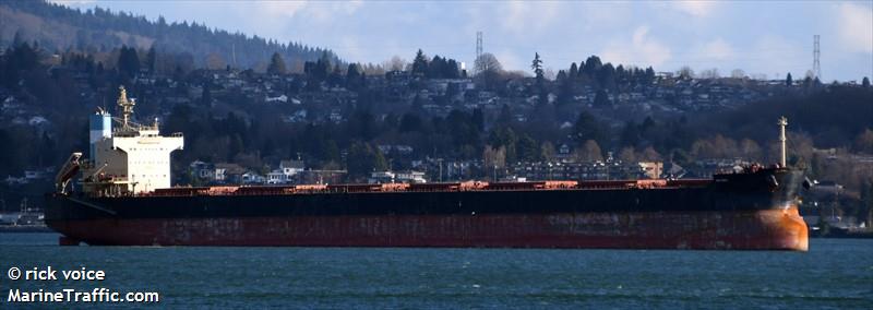 magic perseus (Bulk Carrier) - IMO 9582477, MMSI 538009448, Call Sign V7A4758 under the flag of Marshall Islands