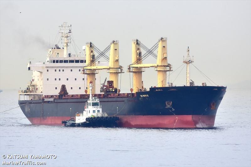 tbc purpose (Bulk Carrier) - IMO 9455387, MMSI 352986165, Call Sign 3E3918 under the flag of Panama