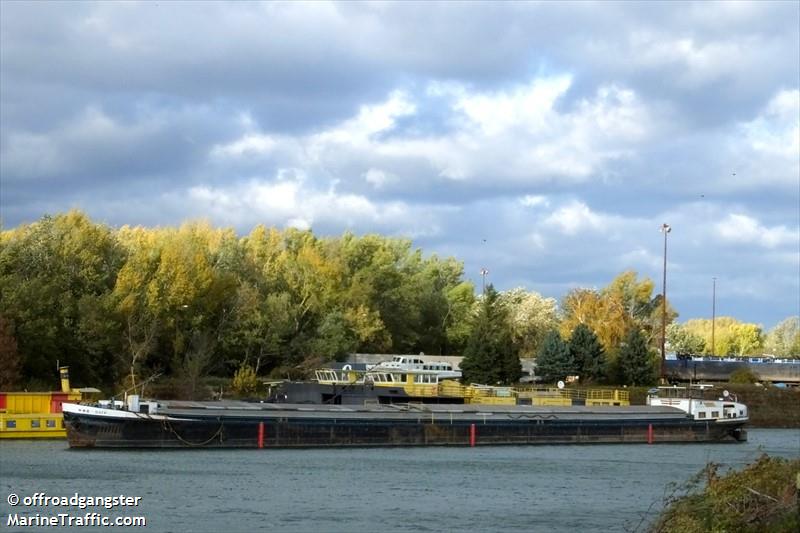 wws daiv (Cargo ship) - IMO , MMSI 267210159, Call Sign OMFQ under the flag of Slovakia