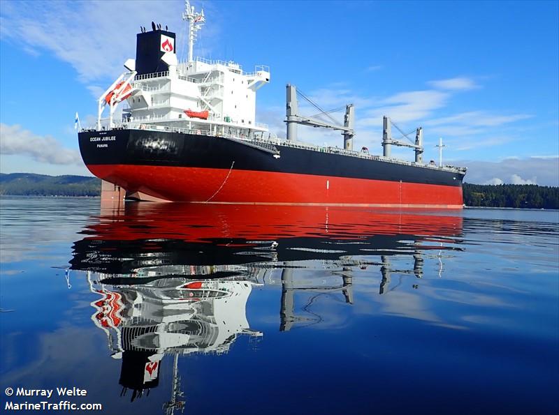 ocean jubilee (Bulk Carrier) - IMO 9913987, MMSI 352978137, Call Sign 3E3966 under the flag of Panama