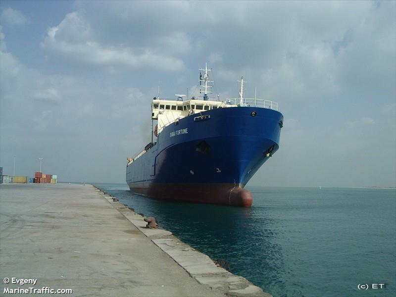 dubai fortune (Container Ship) - IMO 9040120, MMSI 209258000, Call Sign 5BEJ3 under the flag of Cyprus