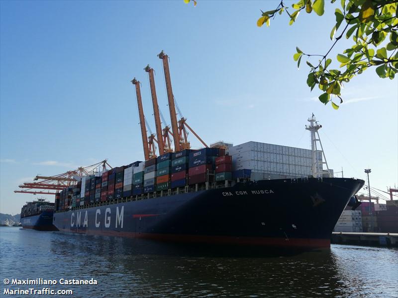 cma cgm musca (Container Ship) - IMO 9356311, MMSI 311000922, Call Sign C6EK7 under the flag of Bahamas