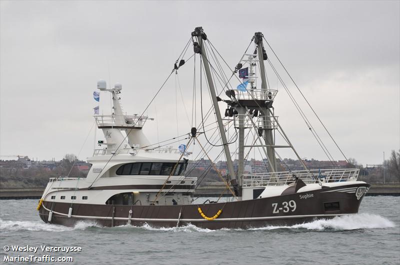 sophie z39 (Fishing Vessel) - IMO 9899624, MMSI 205248000, Call Sign OPEV under the flag of Belgium