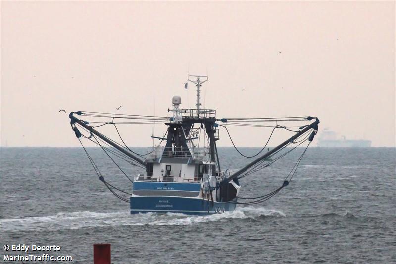 z26 avanti (Fishing Vessel) - IMO 9913315, MMSI 205133000, Call Sign OPAZ under the flag of Belgium