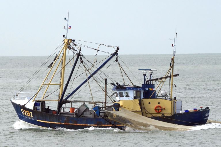 o191 romy (Fishing vessel) - IMO , MMSI 205273000, Call Sign OPHI under the flag of Belgium