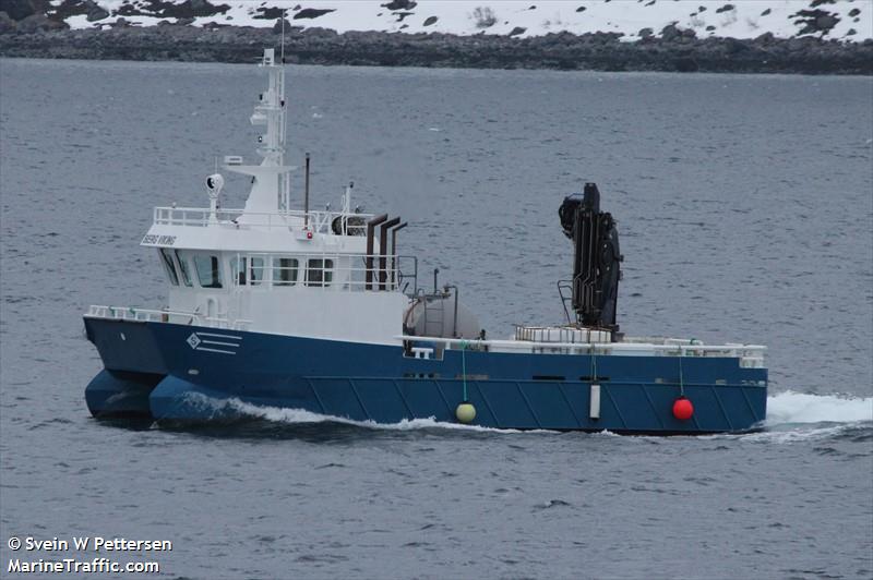 berg viking (Cargo ship) - IMO , MMSI 258518310, Call Sign LG4756 under the flag of Norway