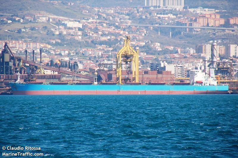 champ star (Bulk Carrier) - IMO 9171266, MMSI 352001349, Call Sign 3E2110 under the flag of Panama