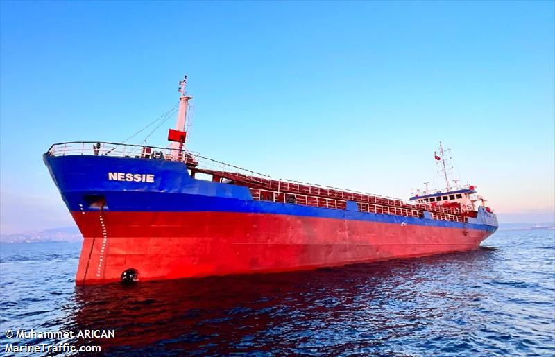 happy wolf (General Cargo Ship) - IMO 8207410, MMSI 577577000, Call Sign YJXK8 under the flag of Vanuatu