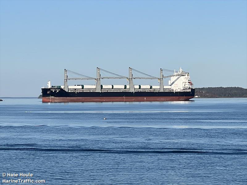 pacific vitality (General Cargo Ship) - IMO 9913236, MMSI 477836200, Call Sign VRUU4 under the flag of Hong Kong