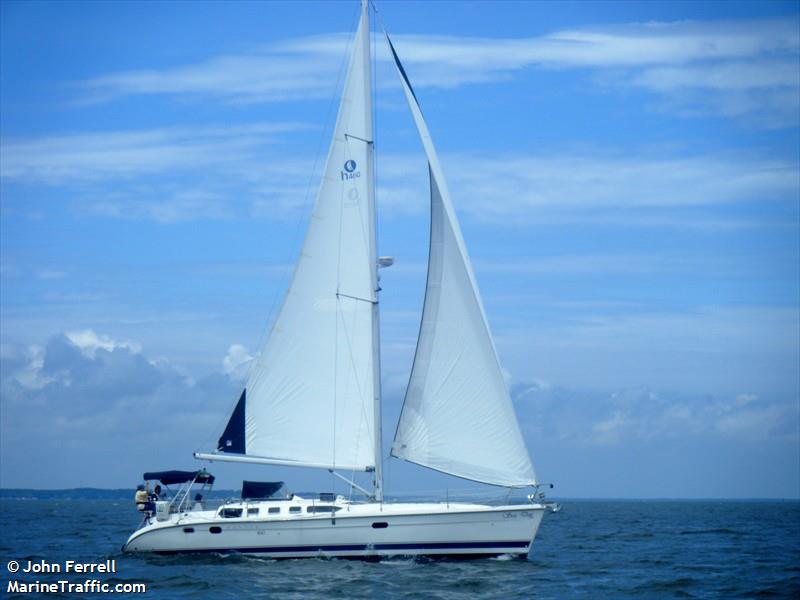 sea dog (Sailing vessel) - IMO , MMSI 338101144 under the flag of USA