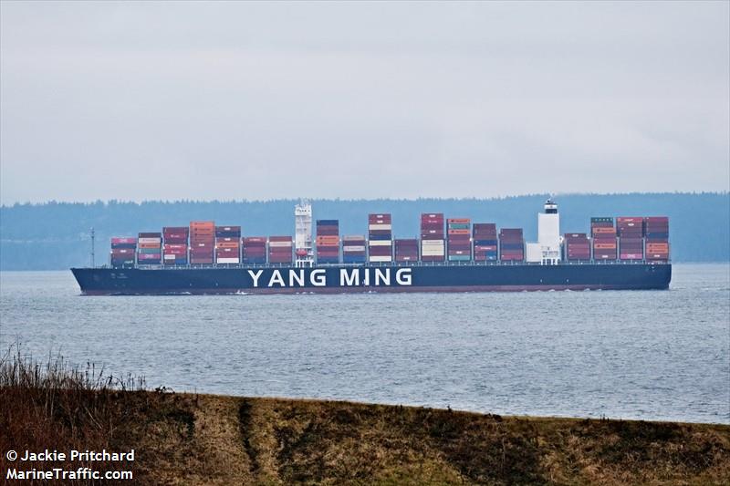 ym throne (Container Ship) - IMO , MMSI 636021693, Call Sign 5LFF8 under the flag of Liberia