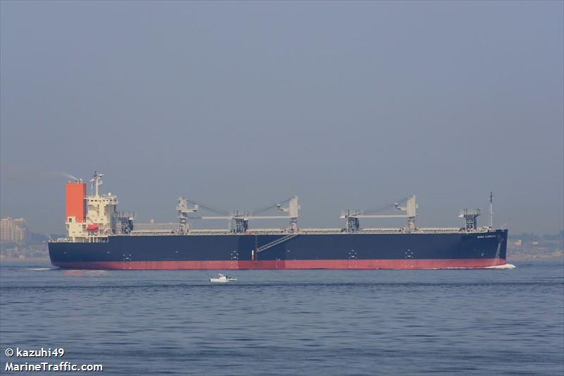 dyna floresta (Wood Chips Carrier) - IMO 9901805, MMSI 636022059, Call Sign 5LGZ7 under the flag of Liberia