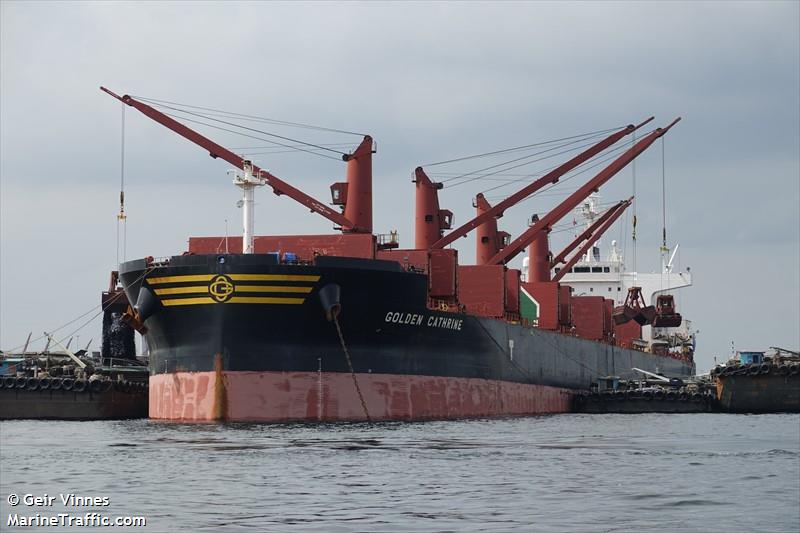 van leopard (Bulk Carrier) - IMO 9692674, MMSI 636022168, Call Sign 5LHM5 under the flag of Liberia