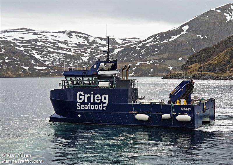 stortind (Cargo ship) - IMO , MMSI 258026950, Call Sign LH5572 under the flag of Norway