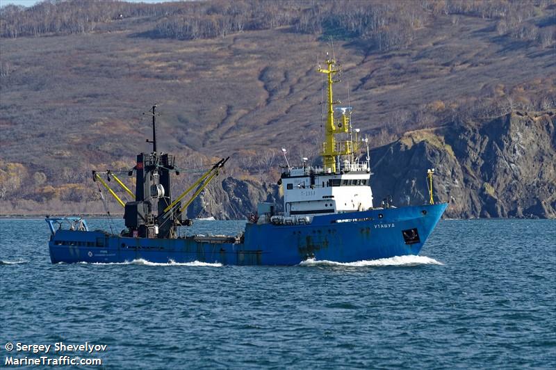 utashud (Fishing Vessel) - IMO 8730508, MMSI 273849800, Call Sign UHPE under the flag of Russia