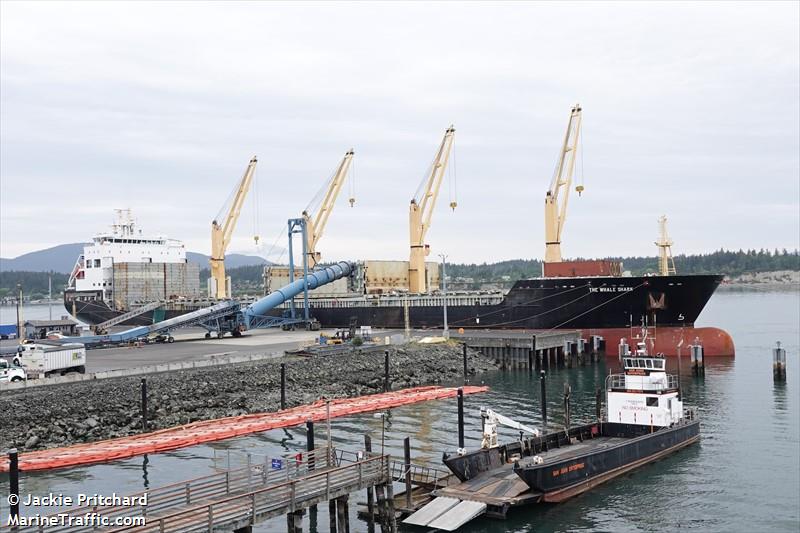 the whale shark (General Cargo Ship) - IMO 9594482, MMSI 636093110, Call Sign D5AD5 under the flag of Liberia