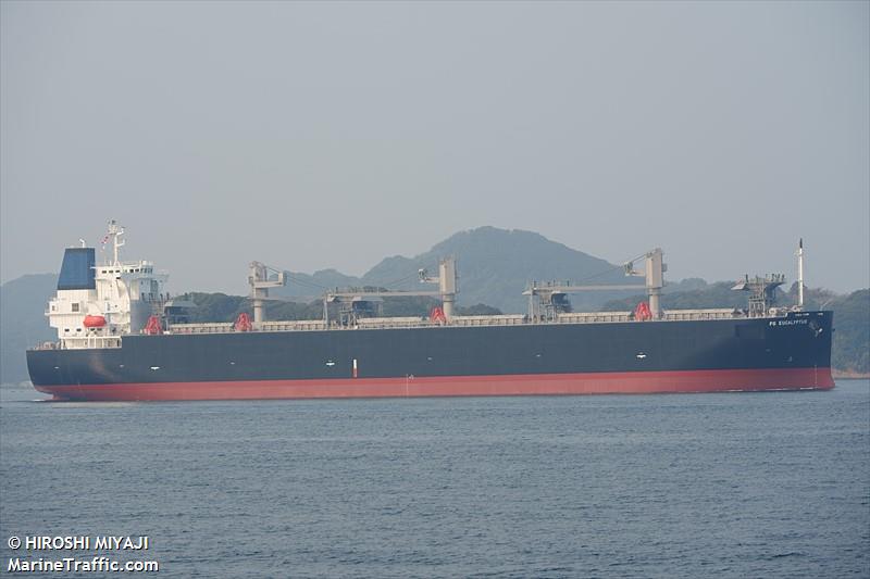 fg eucalyptus (Bulk Carrier) - IMO 9942172, MMSI 563179900, Call Sign 9V8034 under the flag of Singapore