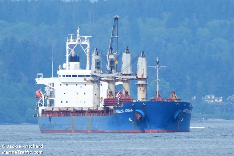 angelic anna (General Cargo Ship) - IMO 9422809, MMSI 636022686, Call Sign 5LJZ4 under the flag of Liberia