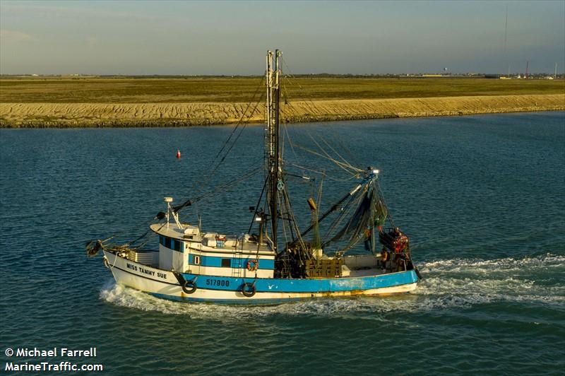 tammy sue (Fishing vessel) - IMO , MMSI 367417560, Call Sign WDE9466 under the flag of United States (USA)