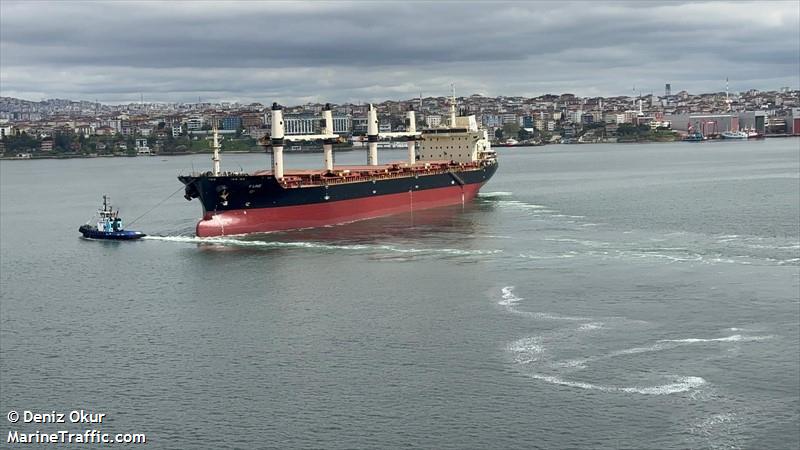 f line (Bulk Carrier) - IMO 9320324, MMSI 314738000, Call Sign 8PKO9 under the flag of Barbados