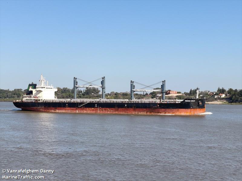 friederike schulte (Bulk Carrier) - IMO 9721425, MMSI 563188100, Call Sign 9V8330 under the flag of Singapore