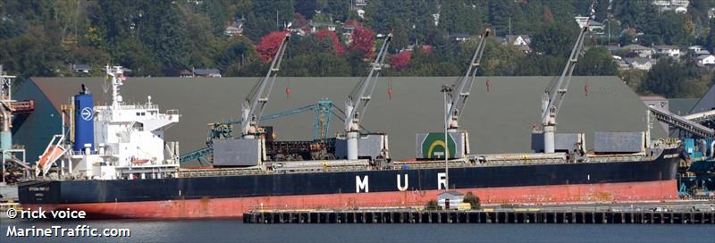 african finfoot (Bulk Carrier) - IMO 9748473, MMSI 311001274, Call Sign C6GK8 under the flag of Bahamas