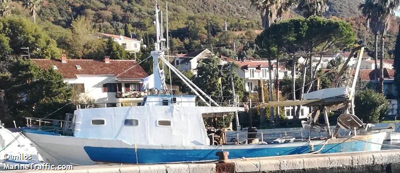 catarina (Fishing vessel) - IMO , MMSI 262500055, Call Sign 402017 under the flag of Montenegro