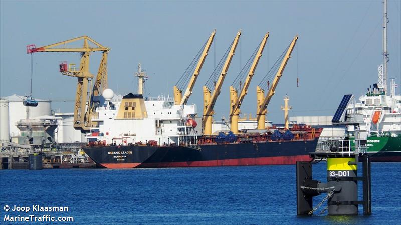 theodore (Bulk Carrier) - IMO 9300283, MMSI 314761000, Call Sign 8PNO5 under the flag of Barbados