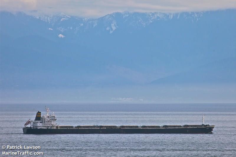 slavyanka (Bulk Carrier) - IMO 9937309, MMSI 256434000, Call Sign 9HA5837 under the flag of Malta