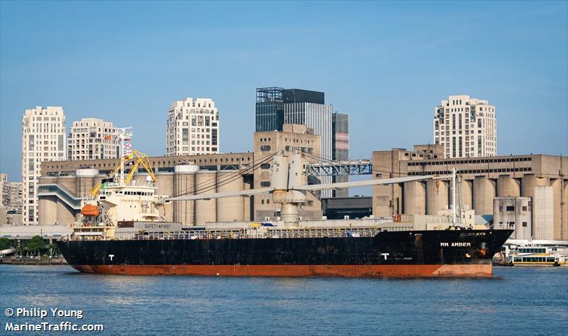 mm amber (General Cargo Ship) - IMO 9379272, MMSI 538010719, Call Sign V7A7317 under the flag of Marshall Islands